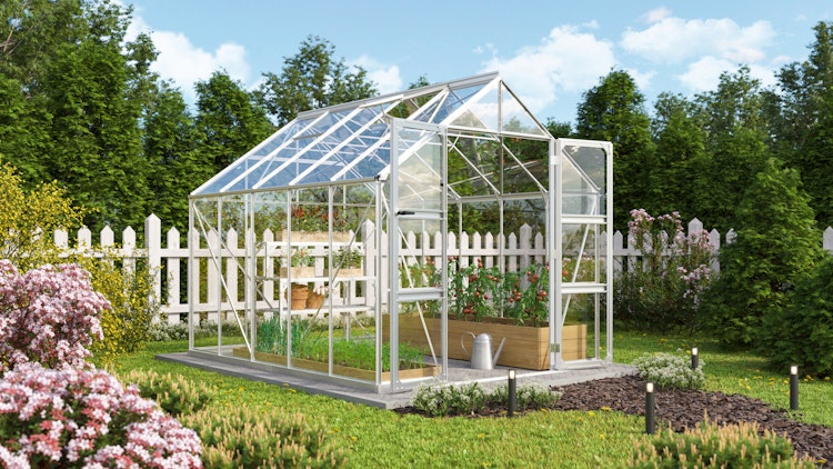 Vitavia Gewächshaus Domus 8300 inkl. 4 Dachfenstern - 8,3 m²