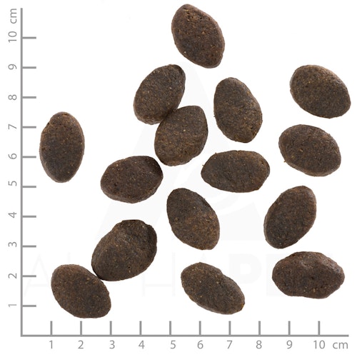 WOLFSBLUT Wild Pacific 4 Sorten Fisch mit Kartoffeln Hundetrockenfutter