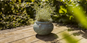 Vorschaubild Plant Pot Ensio grün antik