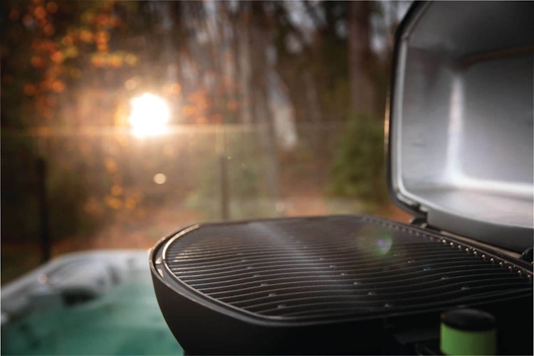 NAPOLEON Elektrogrill TRAVELQ PRO285E inkl. Wagen