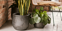 Vorschaubild Vosteen Design Blumentopf / Pflanzgefäß Terrakotta schwarz ø 28 cm x H 24 cm