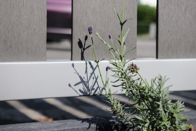 TraumGarten RAJA WPC ALU XL Anthrazit Doppeltor auf Maß