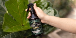 Restberry´s Nesselsud Restberry´s NesselsudZubehörbild