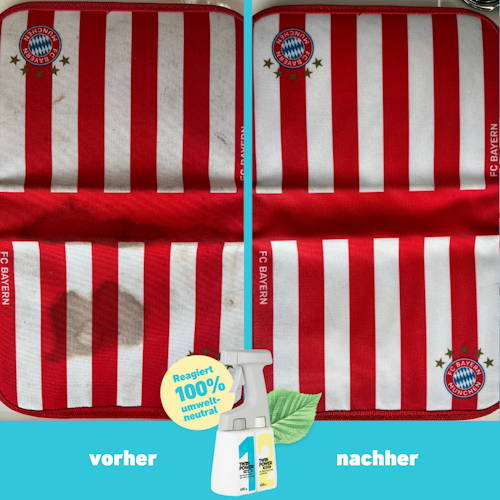 Twin Power Intensiv-Set 2 x 0,4L + Sprüher + Handschuhe + Bürste