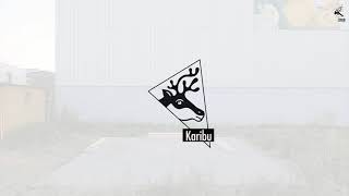 Karibu Eco Gartenhaus Merseburg 2/3/4/5/6 - 14 mm