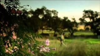 Husqvarna Forstfreischneider 530iPX (536LiPX)