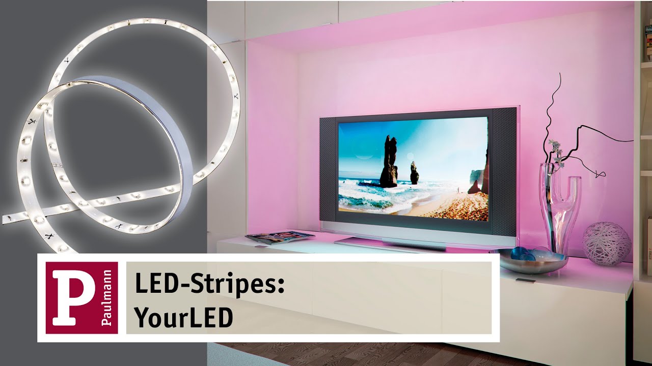 Paulmann Function YourLED Magnetic Switch 60W ws