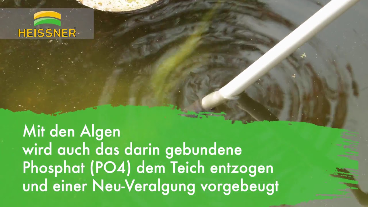 Heissner Algenbürste 2in1 135-230 cm Teleskop (TZ325-00)