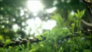 Husqvarna Heckenschere 122HD45 