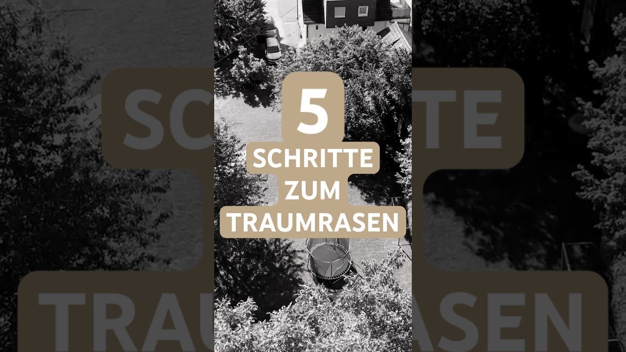 Vorschaubild Youtube-Video