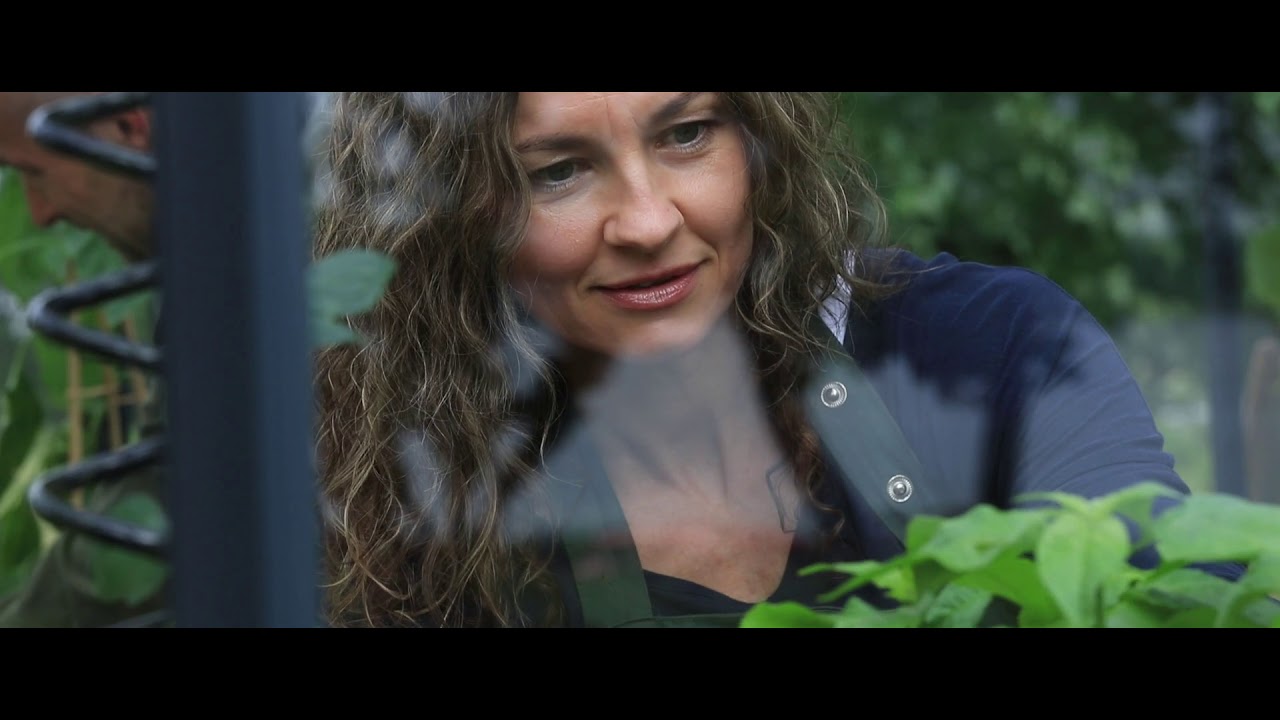 Juliana Gewächshaus Grand Oase anthrazit - 3 mm Sicherheitsglas - für Mauer - 18,8 m²