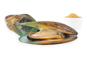 6523_fleisch_der_neuseelaendischen_gruenlippmuschel
